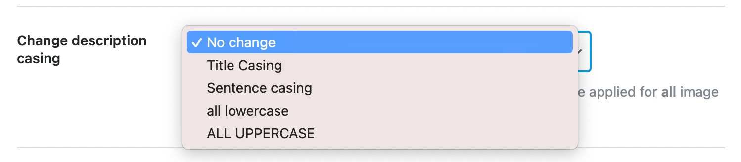 change description casing
