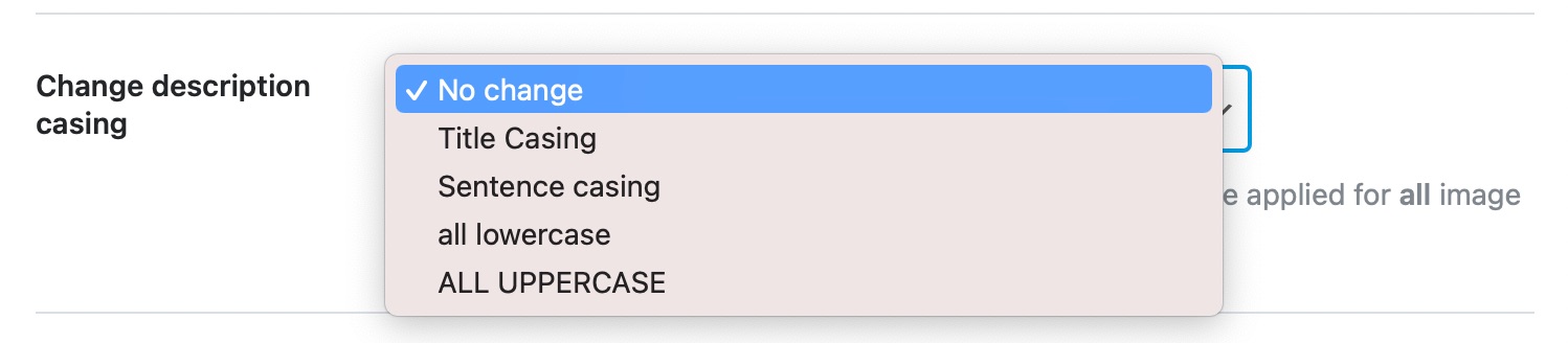 change description casing
