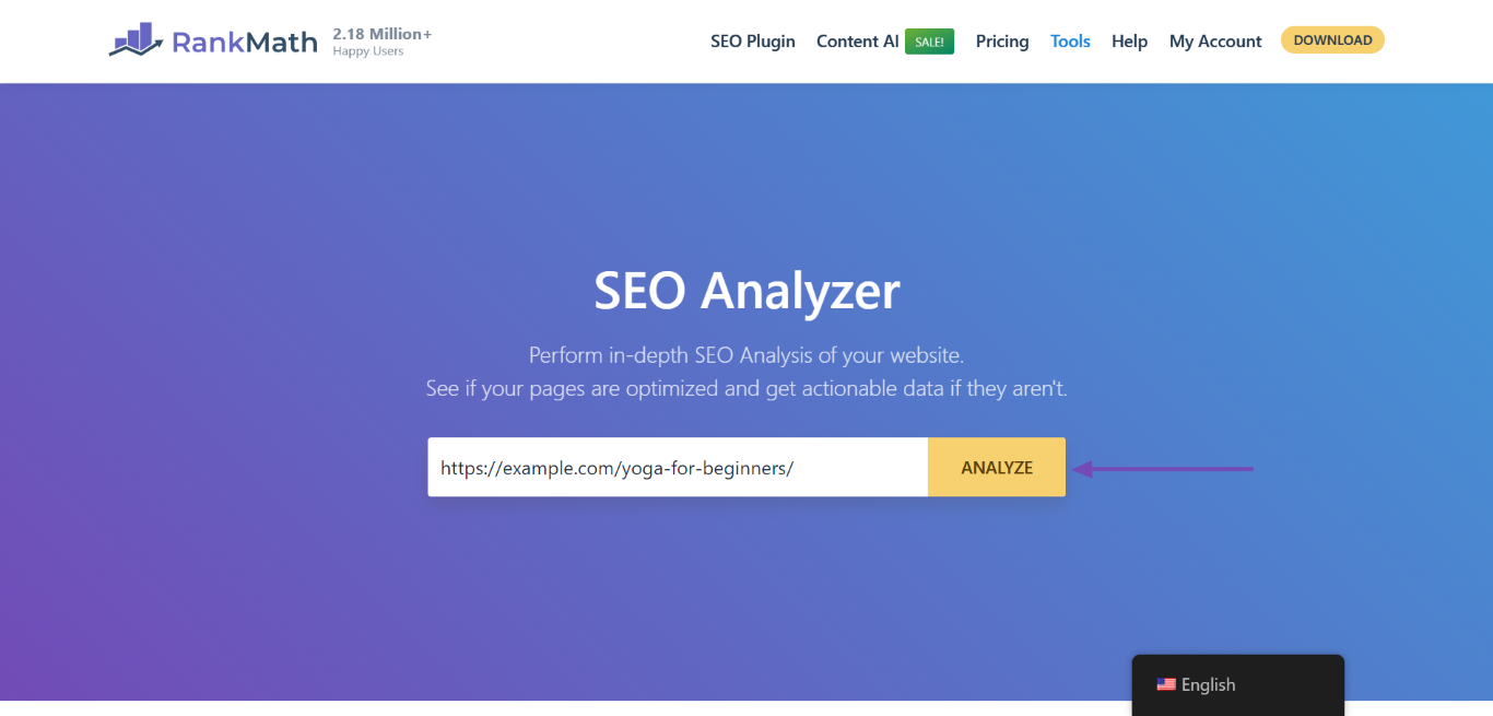Enter your competitor’s URL into the available field